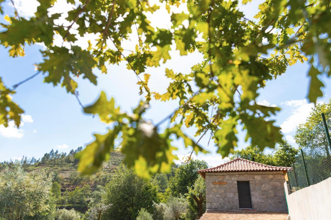 Cela  Casa Velha De Ponta Soto 빌라 외부 사진